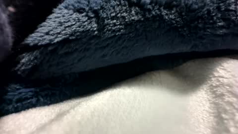 blackhammer8787 online show from December 8, 6:43 am