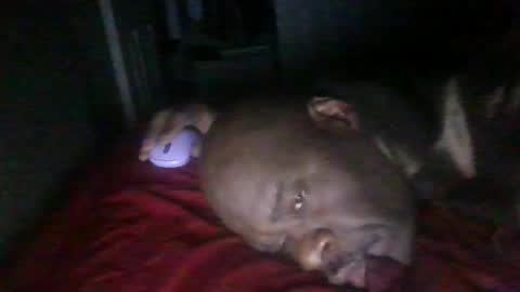 blackteddybear online show from February 21, 11:35 am