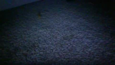 blackteddybear online show from February 26, 8:18 am