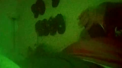 blahblam420 online show from February 5, 6:28 am