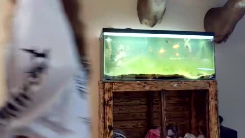 blasianangel444 online show from April 17, 5:32 am