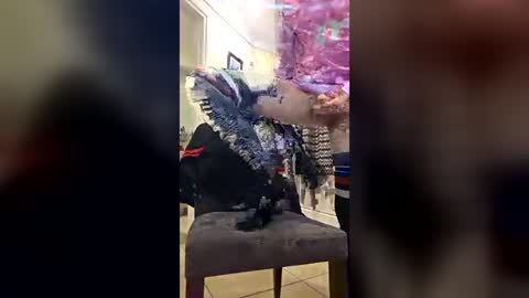boby4567586535 online show from September 28, 2:02 pm