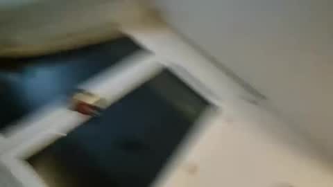 bomale89 online show from December 22, 11:09 pm