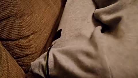 bonny8723 online show from February 5, 7:20 pm