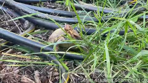 Booker Baxton online show from April 9, 2:59 am