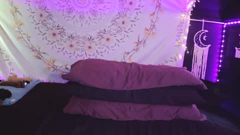 BossMom online show from February 28, 8:50 pm