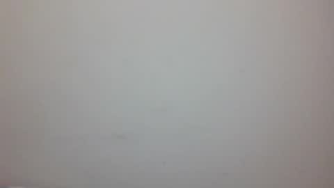 Tommy - OnFns  tommy  874 online show from February 27, 7:34 am