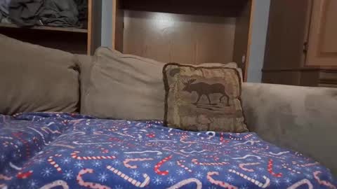 smoothslutfordaddy online show from February 24, 3:48 pm