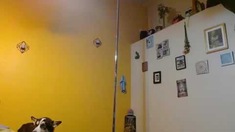 i am a naughty jedi knight online show from March 15, 10:57 pm