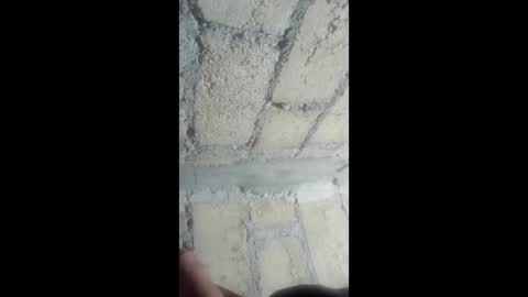 brayan2128 online show from January 15, 9:23 pm