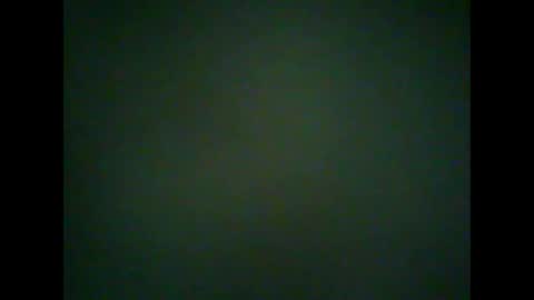 Brewerbear online show from November 14, 3:47 pm