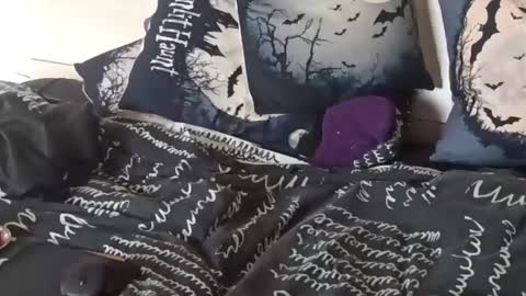 bright_mind online show from February 4, 2:32 pm