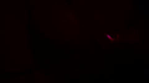 brooklyn567 online show from September 26, 3:36 am