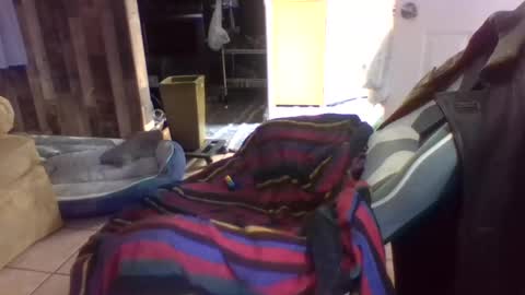 brutal3anddone online show from October 16, 5:23 pm