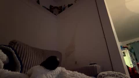 bubblya online show from February 20, 6:19 am