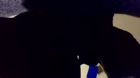 Snapshot of buckoykang chatting on October 11, 4:06 am buckoykang online show from October 11, 4:06 am