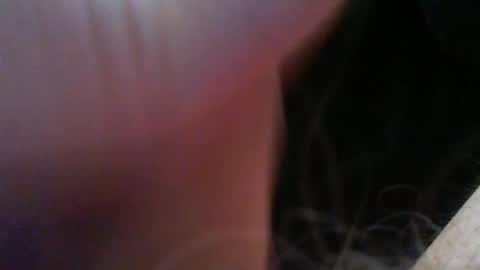 bullemoe online show from April 16, 4:56 am