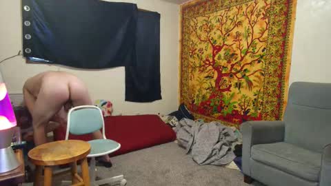 Shane online show from November 17, 5:15 pm