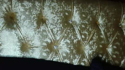 Hairy Arabian online show from December 21, 6:36 pm