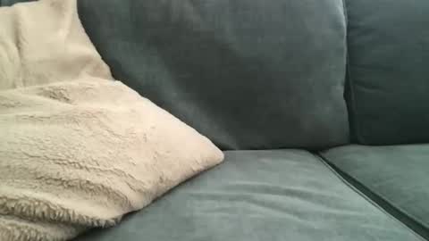 Byroncam online show from March 12, 6:55 pm