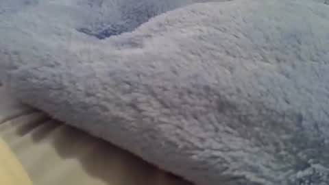 flash 50 tokens BIG CLIT  tits pussy. masturbation big clit 150 tokens fingers inside pussy 1000 tk  pump big clit 300 tk online show from September 8, 7:13 pm