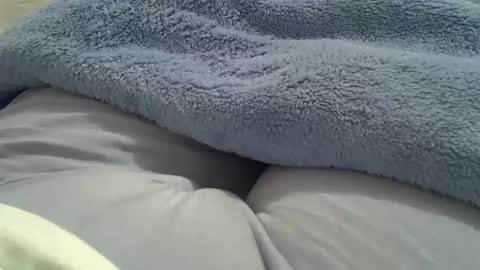 flash 50 tokens BIG CLIT  tits pussy. masturbation big clit 150 tokens fingers inside pussy 1000 tk  pump big clit 300 tk online show from October 1, 2:10 am