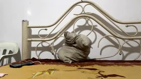 camilo1124d online show from January 13, 10:45 am