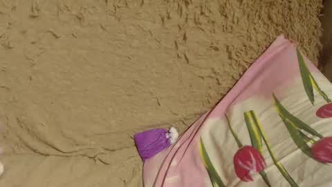 say meow and send tips  online show from December 19, 2:34 am