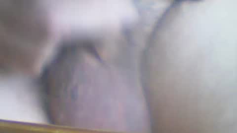 Snapshot of castells chatting on October 2, 3:22 pm castells online show from October 2, 3:22 pm