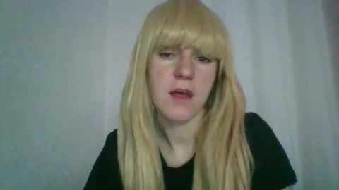 cat_2019 online show from November 8, 12:35 am