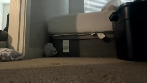 caucasian_caramel online show from November 9, 6:21 pm