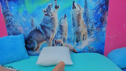 Charlotte  online show from November 5, 6:32 pm