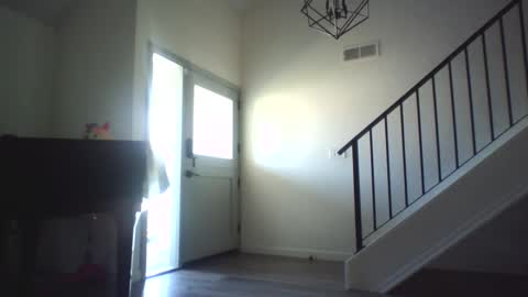 Rockhard Cockstar N Roxynyes online show from September 12, 9:06 pm