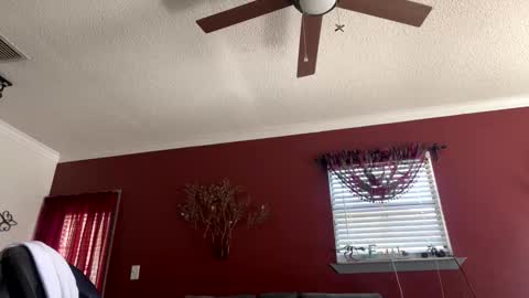 CHINO online show from February 2, 5:53 pm