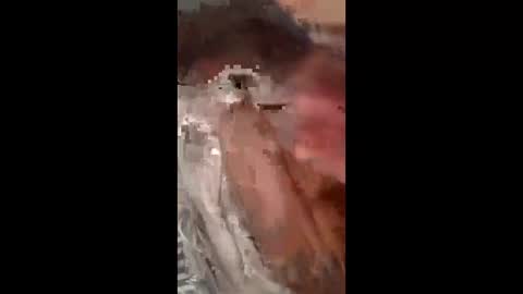 chko76 online show from April 4, 8:05 pm