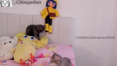 Snapshot of chloee_gardner chatting on October 21, 8:34 pm Chloe online show from October 21, 8:34 pm