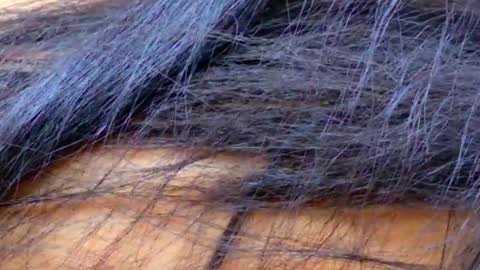 Chloe Vee online show from March 24, 5:57 am