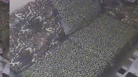 Chubby Boy97 online show from October 30, 7:25 pm