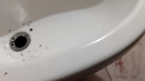 ciccilli online show from September 17, 8:34 pm