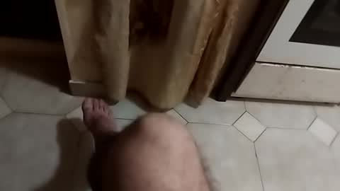 ciccilli online show from September 23, 11:11 pm