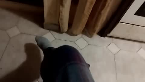 ciccilli online show from October 16, 10:30 pm