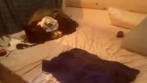 HeyTurkeyBoy online show from November 18, 8:39 am