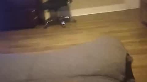 cockgod308236 online show from October 25, 9:08 am