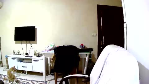 coldskull15 online show from March 3, 12:17 pm