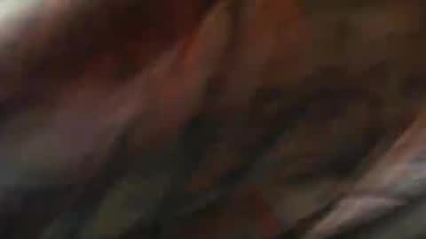 comox online show from February 10, 9:04 am