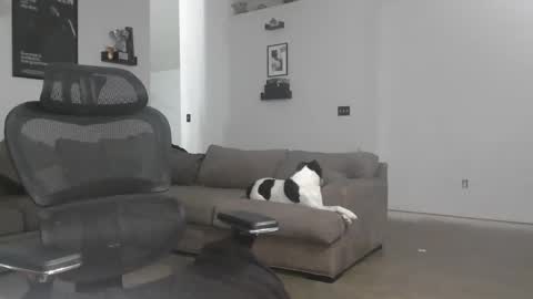 controllercutie online show from February 11, 1:31 am