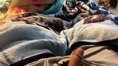 cookie_monster8593 online show from October 21, 10:35 pm