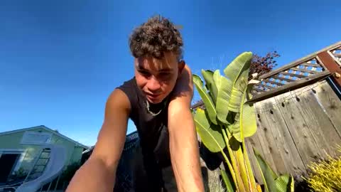 coronelking online show from November 8, 11:52 pm