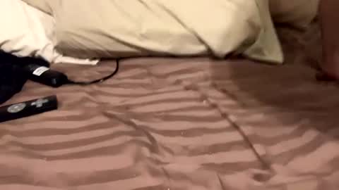 Countrystudd online show from December 11, 8:58 am