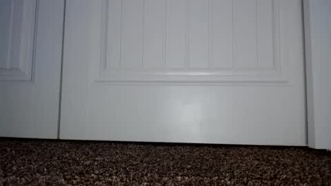 Couple049 online show from January 2, 7:29 pm